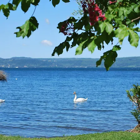 International Glamping Di Bracciano Campeggio 3*
