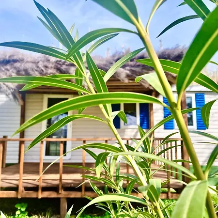 International Glamping Di Bracciano Campeggio 3*