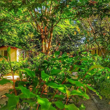 International Glamping Di Bracciano 3* Trevignano Romano