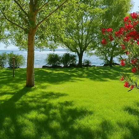 Campeggio International Glamping Di Bracciano Trevignano Romano