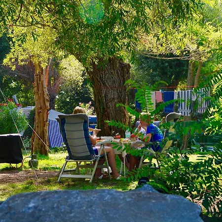 International Glamping Di Bracciano Campeggio