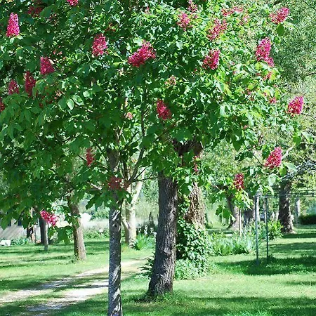 Campeggio International Glamping Di Bracciano 3*
