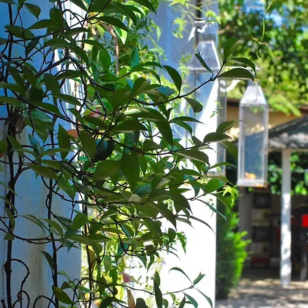 International Glamping Di Bracciano