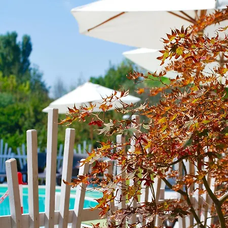 Campeggio International Glamping Di Bracciano