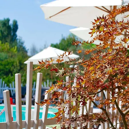 Campeggio International Glamping Di Bracciano