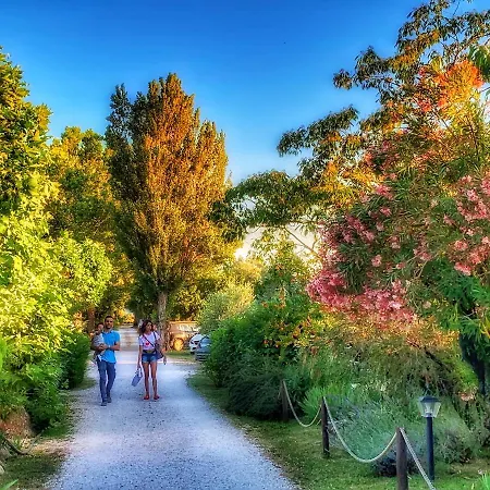 Campeggio International Glamping Di Bracciano